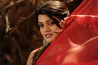 Tashu Kaushik Hot Saree Photos